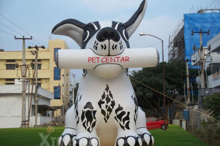 inflatable characters