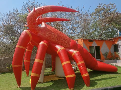 Inflatable lobster